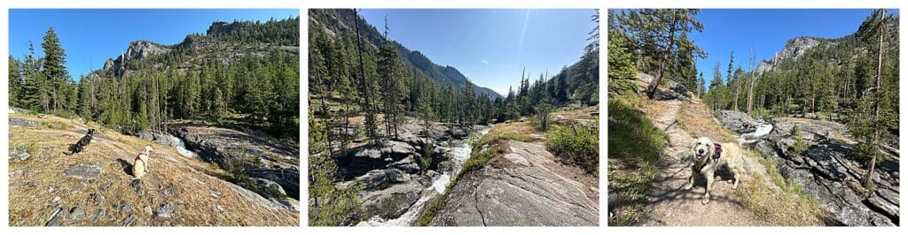 Bear Creek Trail in Victor, MT creek views