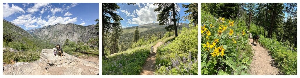 Blodgett Overlook Trail in Hamilton, Montana views of mountains and trail